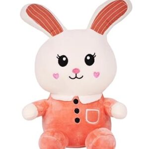 Cute & Adorable Bunny RABBIT LONG EAR | Fluffy & Soft Stuffed Animal Plush Toy For Kids - 25 CM (Random color) - Image 3