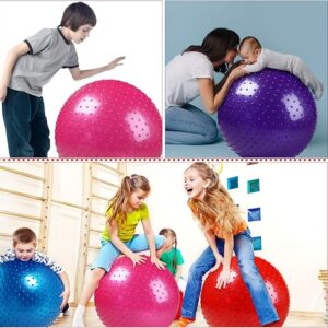 700G Ball, ,55Cm Exercise Ball Large Spikes Tactile Sensory Massage Withrout Pump (Random Color) - Image 1