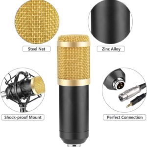 Professional Condenser Microphone - Podcast Mic Set Condenser Microphone With Rechargeable Auxiliary Background For Karaoke Singing, Youtube Recording Mic Set For Youtube | Mic Kit - Image 4