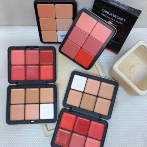Trendy Carla Secret Cream Concealer & Blush Pallet - Image 1
