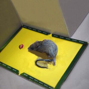 Reusable Expert Catch Mouse & Rat Glue Catch Trap - Image 5