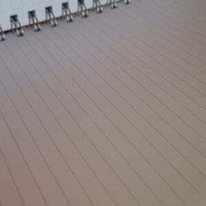 Ridiculously Good Ideas: Lined Journal/Notebook For Brilliant Thoughts And Ridiculously Good Ideas | Funny Gift - Image 1