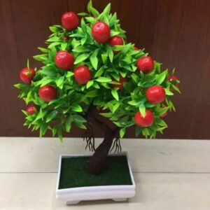 Beautiful Fruit Bonsai Tree for Home Decor - Image 3