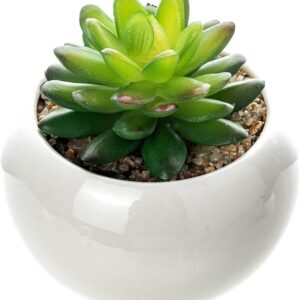Mini plant Artificial Flowers Decoration | Artificial Plants Ball for Home (1 pc Round shape) - Image 2