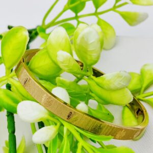 Cartier-Inspired Adjustable and Imported Gold Bangle Bracelet | Best Quality Bracelet For Girls & Women | Artificial Bracelet - Image 1