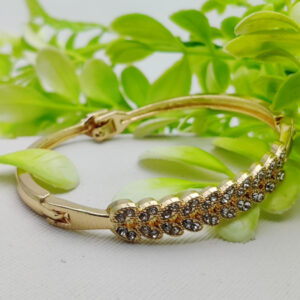 Imported Adjustable Leafy Crystal Bracelet ? Elegance Redefined | Best Quality Artificial Bracelet For Girls & Women | Bracelet For Every Occasion | Elegant Design - Image 1
