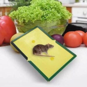 Mouse Glue Trap ? Strong Adhesive Rat Glue Board & Rodent Catcher Mat ( Pack of 5 ) - Image 1