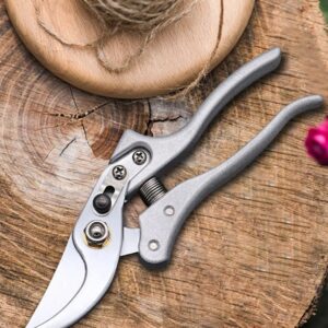 Garden Pruning Shears ? Sharp, Durable & Ergonomic - Image 1