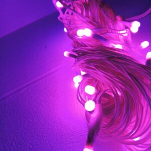 Home Decorative String Light for Birthday, Festival, Festive Occasion, Christmas, Wedding, Party, Indoor Outdoor Decoration - Image 5