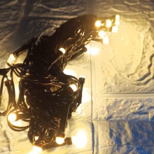 Home Decorative String Light for Birthday, Festival, Festive Occasion, Christmas, Wedding, Party, Indoor Outdoor Decoration - Image 5