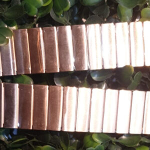 Citizen Magnetic Chain Strap - Image 1