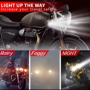 Motorcycle Skull Fog Light LED ? Waterproof, High-Low Beam Auxiliary Headlight - Image 4
