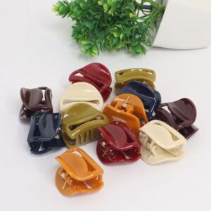 Pack of 12 Hair Catchers ? Small Size (1 Inch) Multicolor Plastic Clips for Women & Girls | Strong Grip & Stylish Design (Random Color) - Image 3