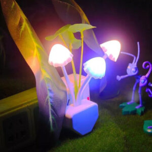 Big deal pack of 2 - Ear Wax Cleaner & Mushroom Led Night Light (Random color) - Image 5