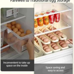 Egg Organizer Automatic Scrolling Egg Rack, Double Layer Egg Storage Tray ( Random Colors ) - Image 3