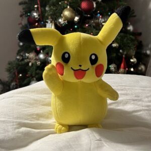 Pokemon Plush Toy For Kids - 20cm Plush Toy For Kids | Plush Toys For Babies | Plush Skin Toy Pokemon? - Image 3
